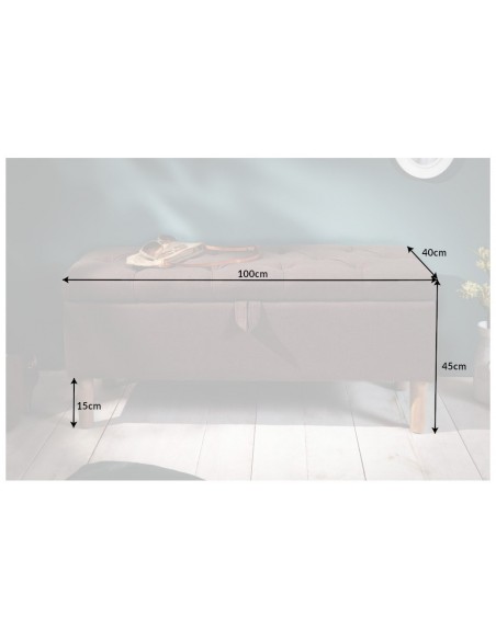 Banc coffre 100cm avec espace de rangement
